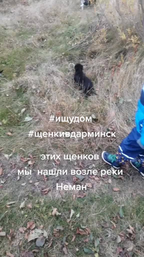 @cobachki_black