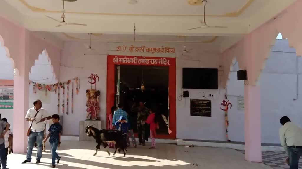 @aaidansingh