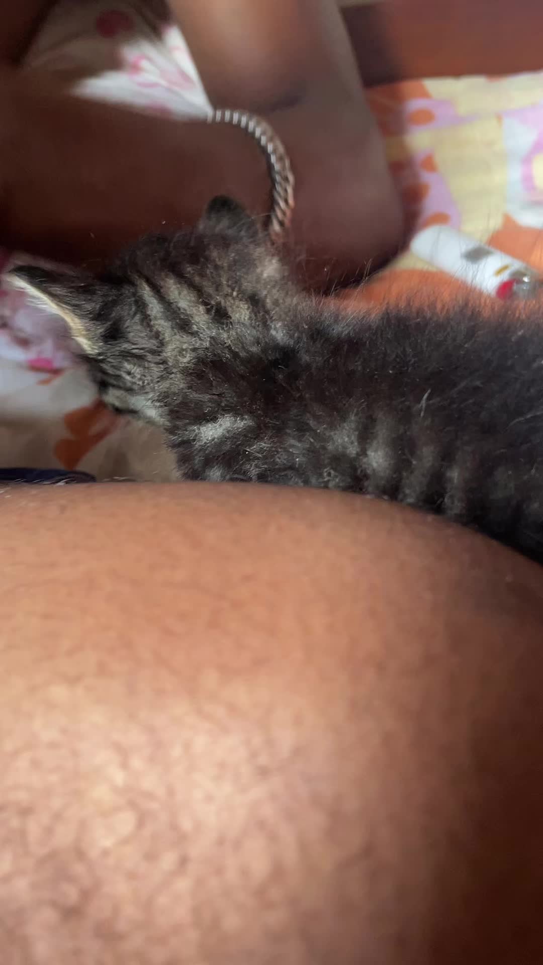 @Vitorinha_93