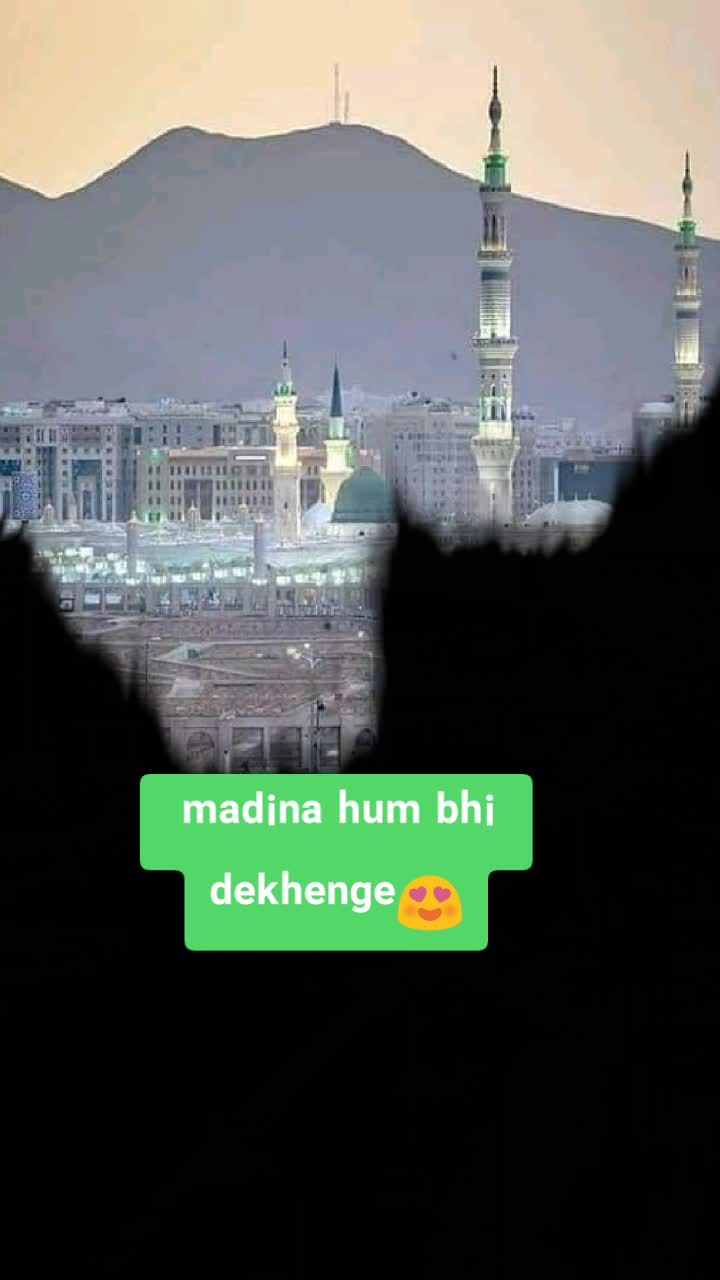 @user7558082809186