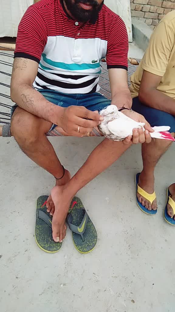 @Sahil Valmiki