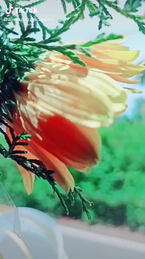 @user1185387330608