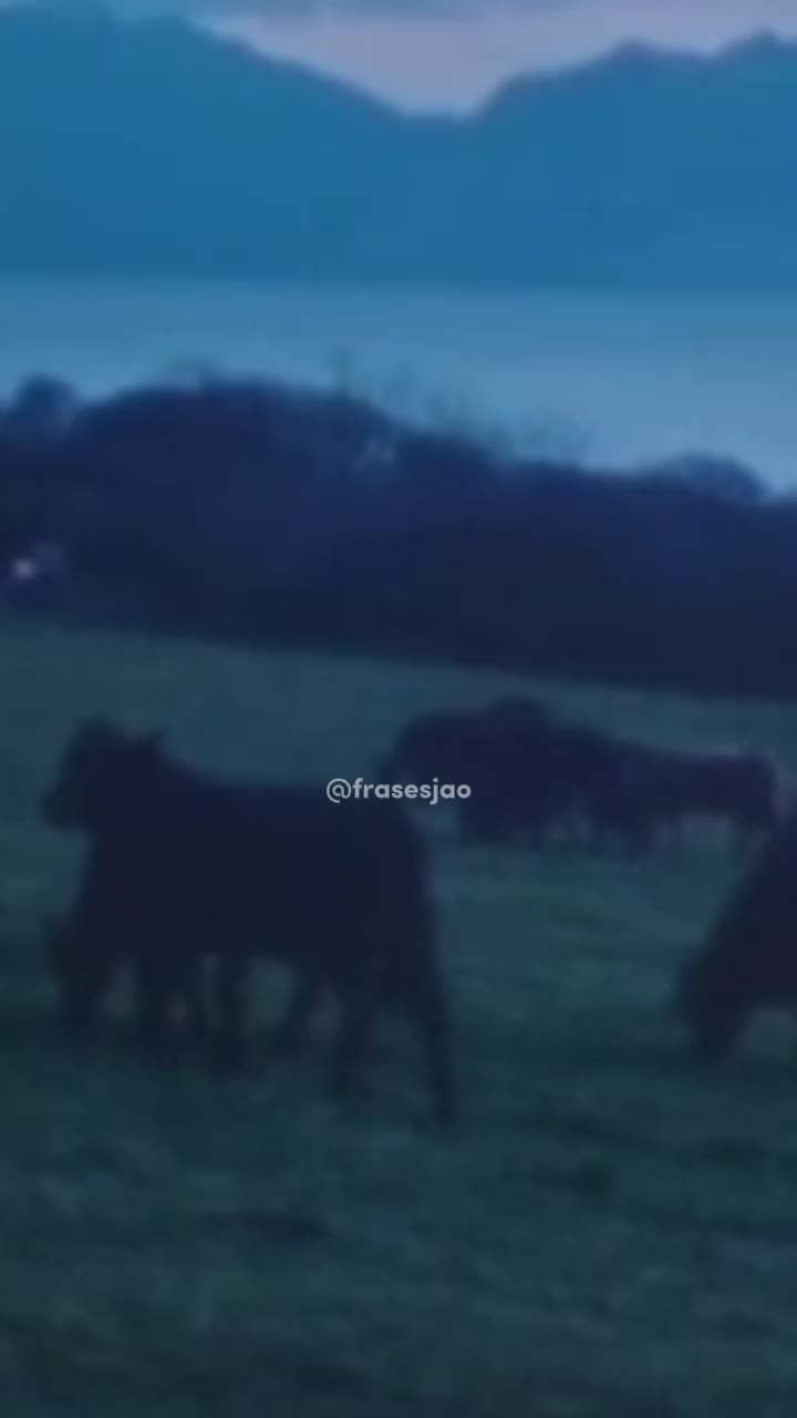 @Frases j&atilde;o