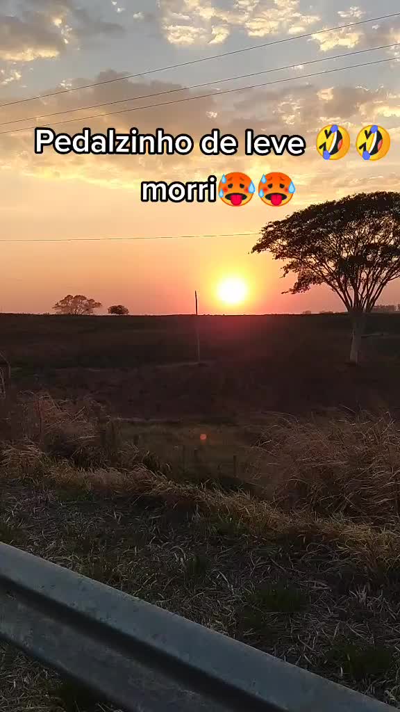 @marlysayuri