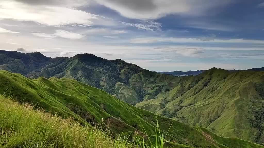 @ChamPuy21