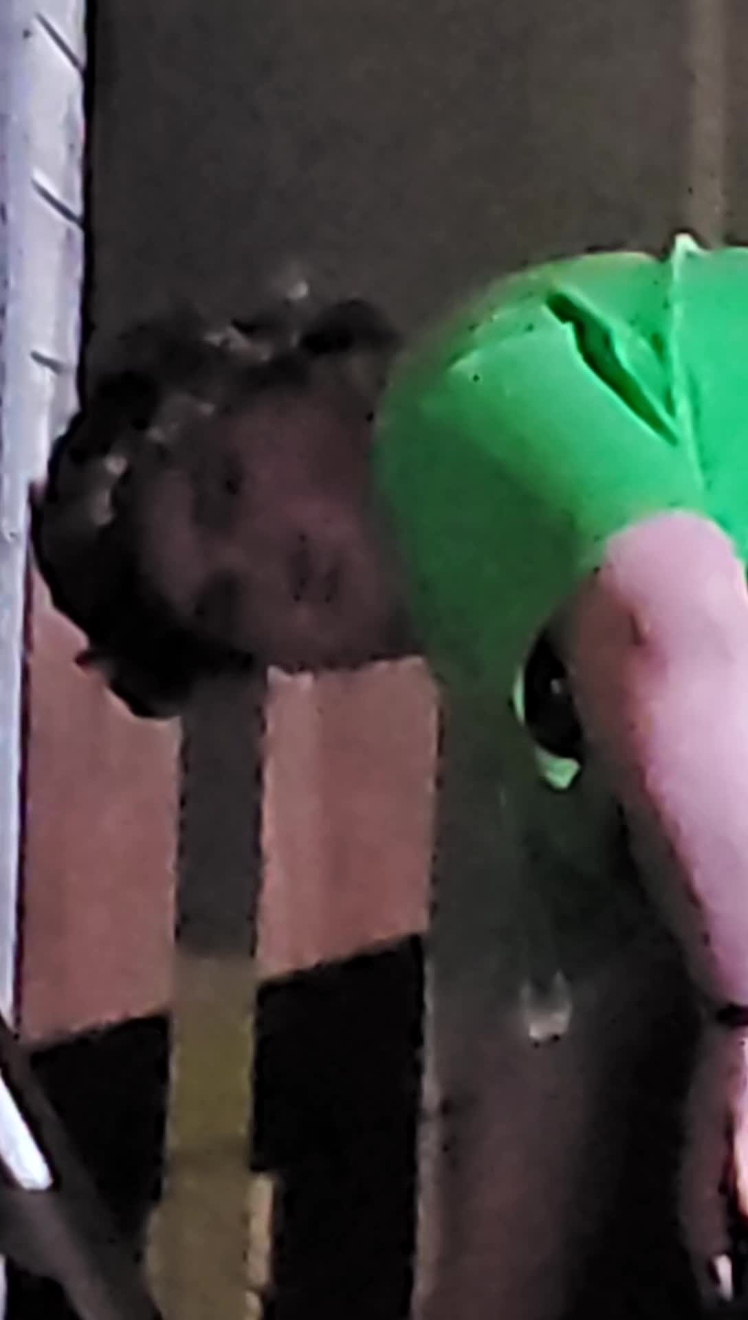 @DarcAsherArt28