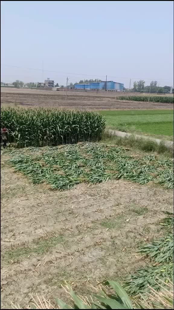 @Sukhdeep Singh Kular