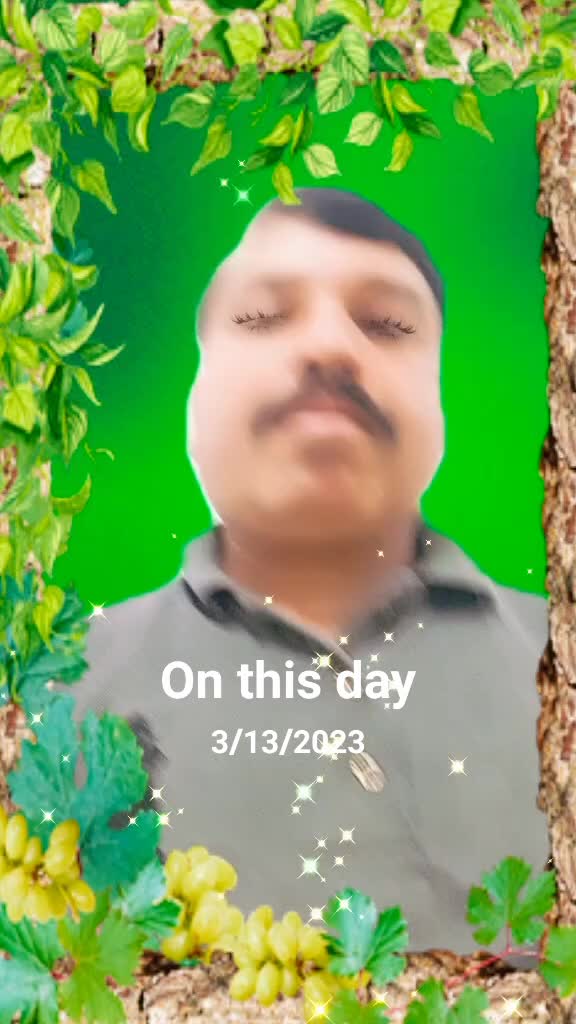 @phulo