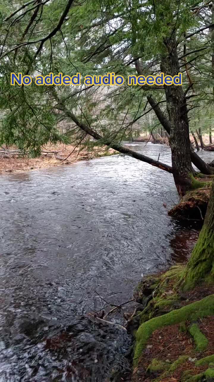 @Glen 🇨🇦