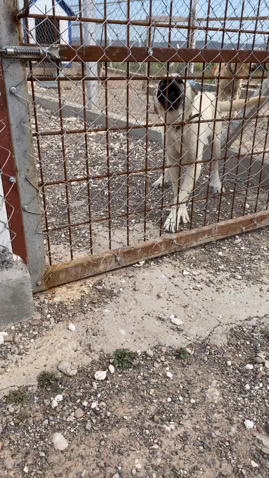 @İnan Özdoğan