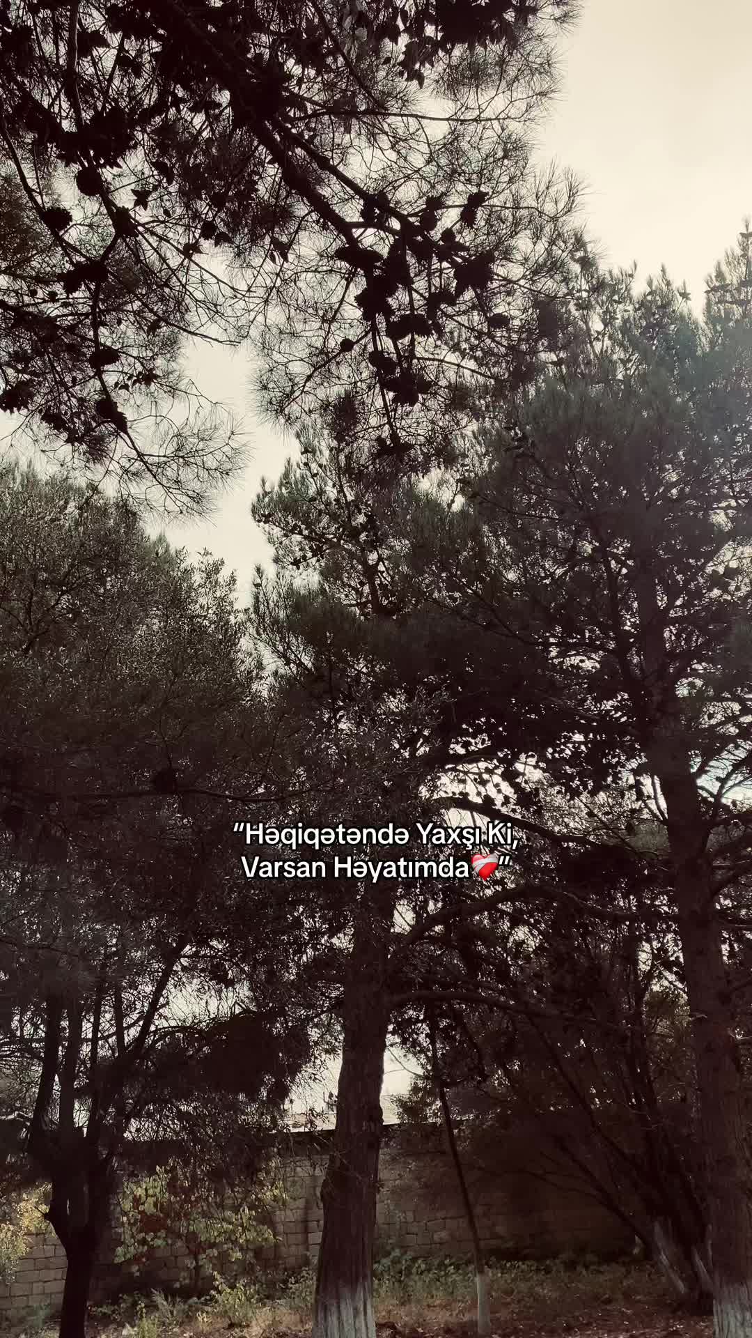 @._SALMANOFW⚡