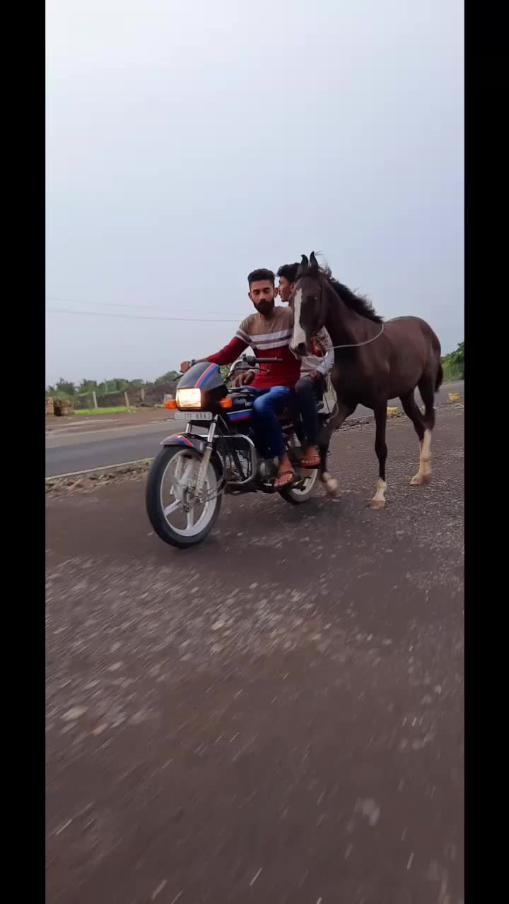 @@jadejajayrajsinh33