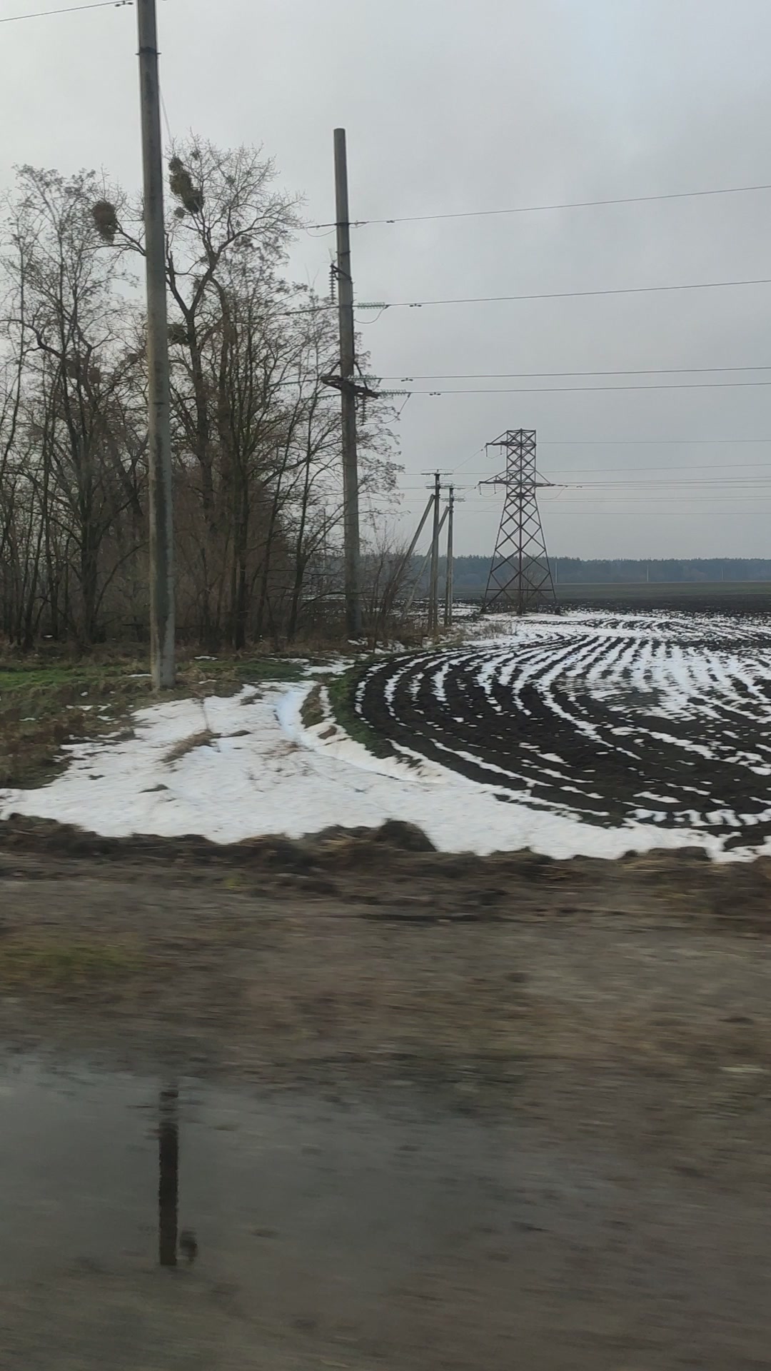 @Dachnick_Ukraine