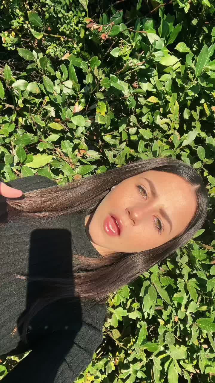 @miscioilaria