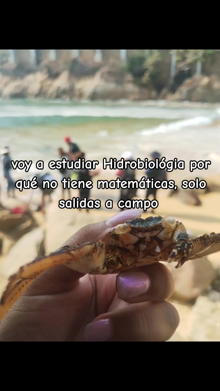 @Daris.moral