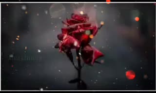 @user81970263616