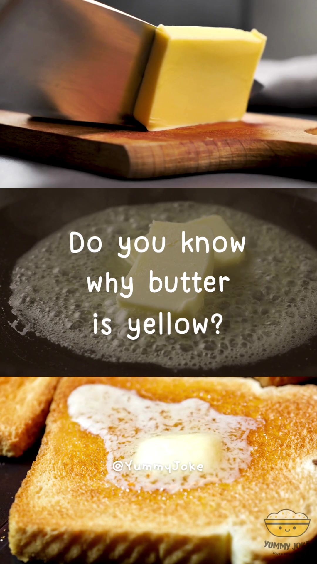 @Yummy Joke