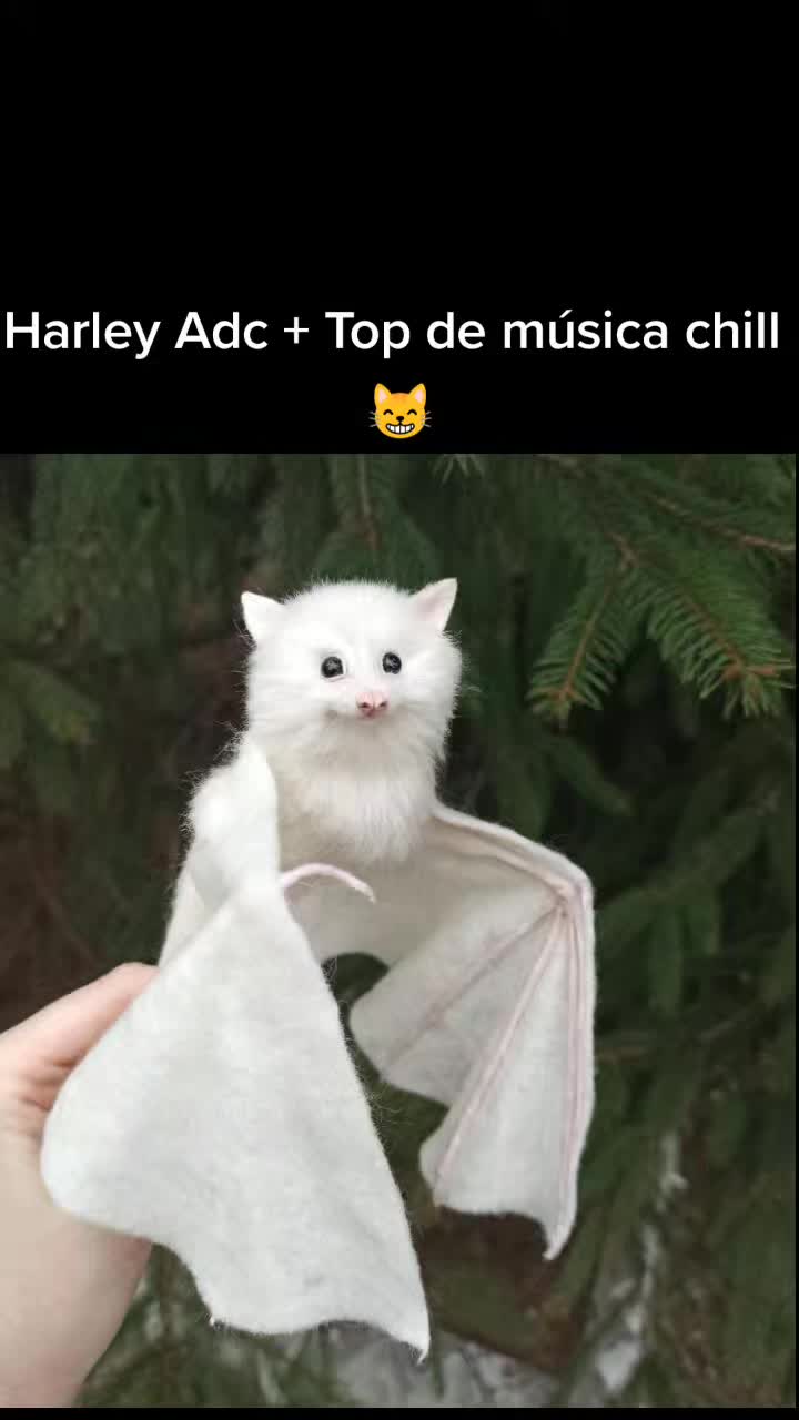 @moonztyle