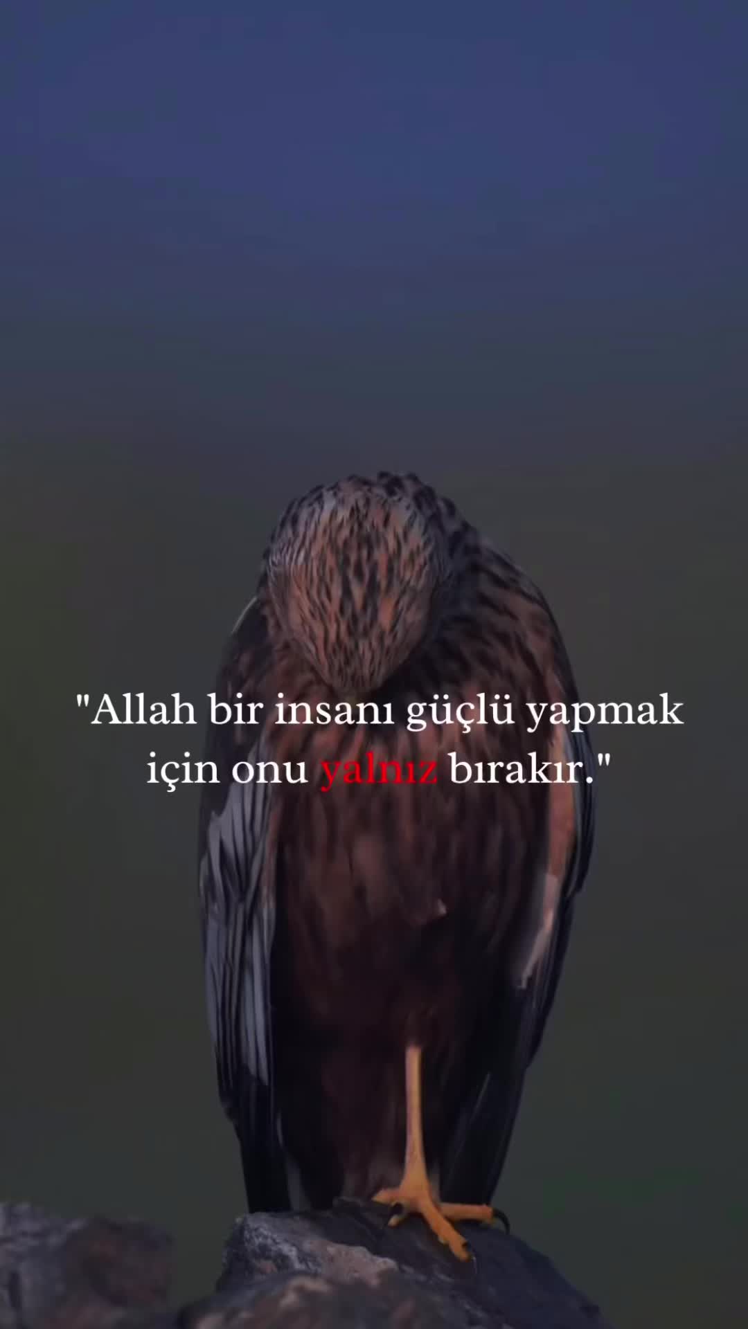 @gunela0907