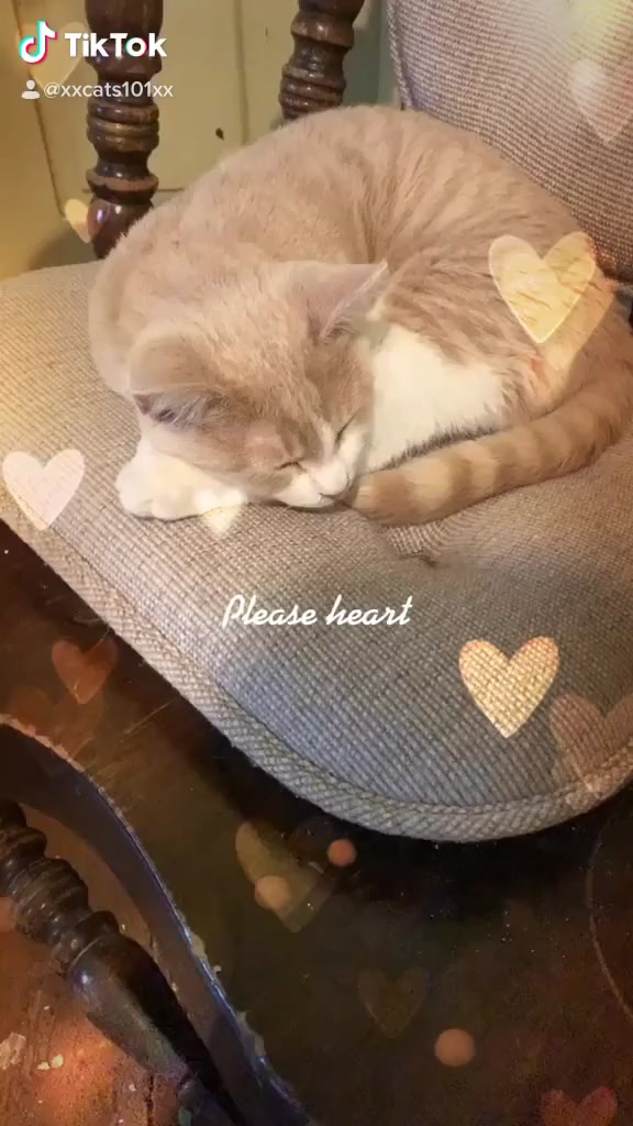 @hiimralph