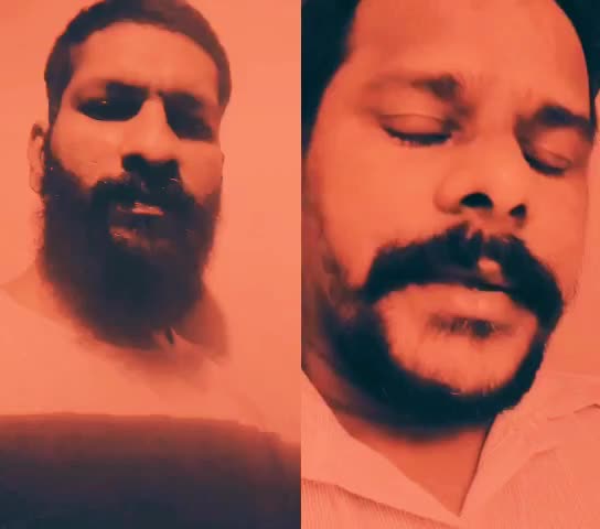 @febishazz