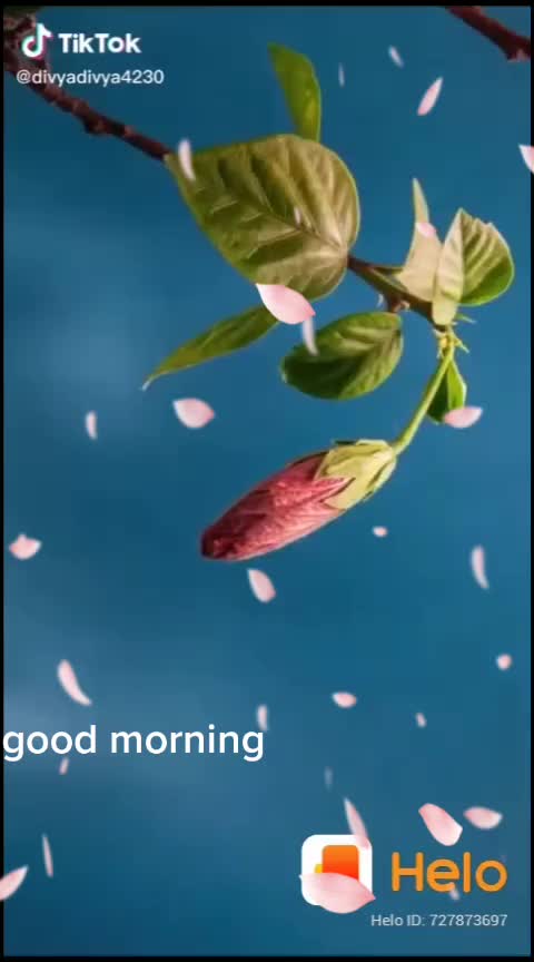 @🌹🙈🌹🙉🌹🙊🌹