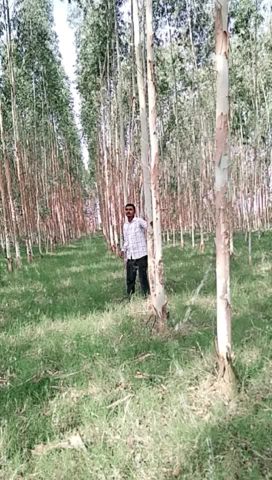 @Sombir Verma