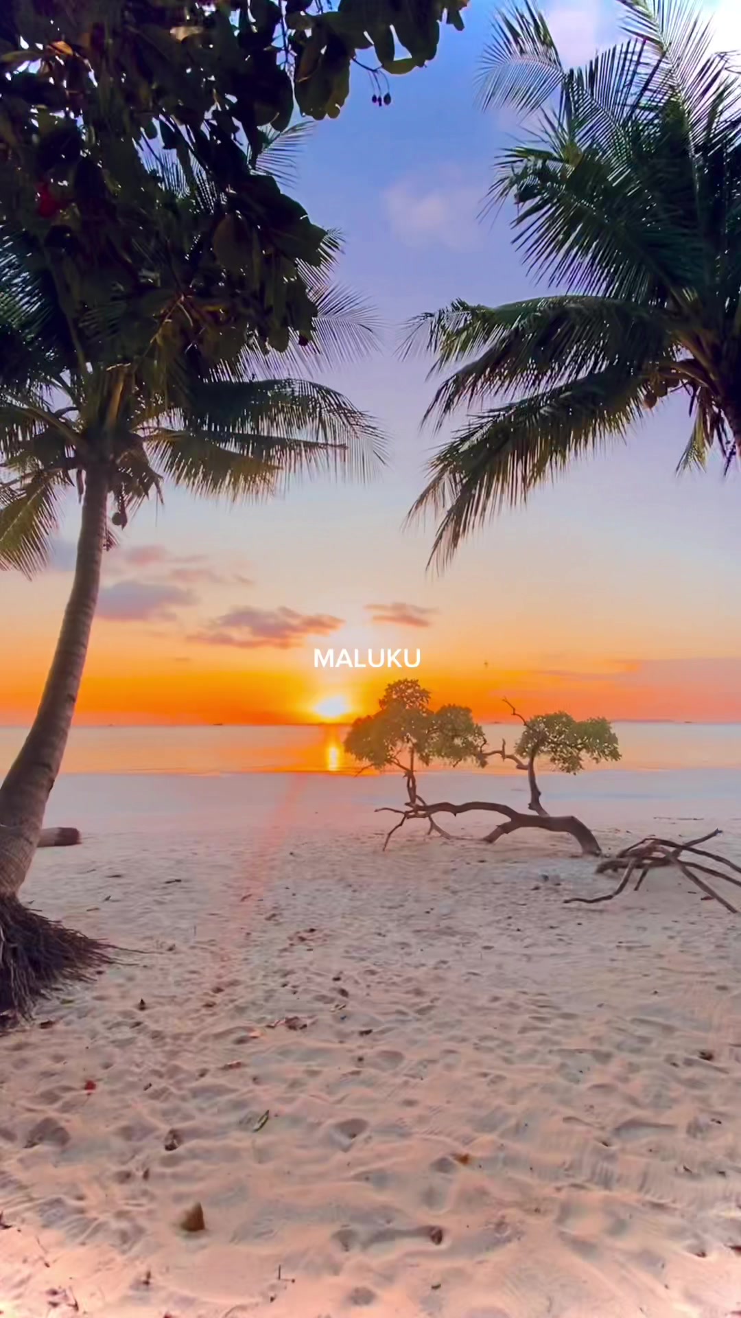 @aumelanesia