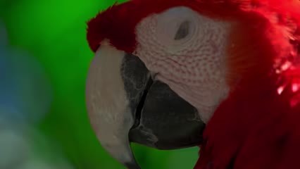 @�� ��