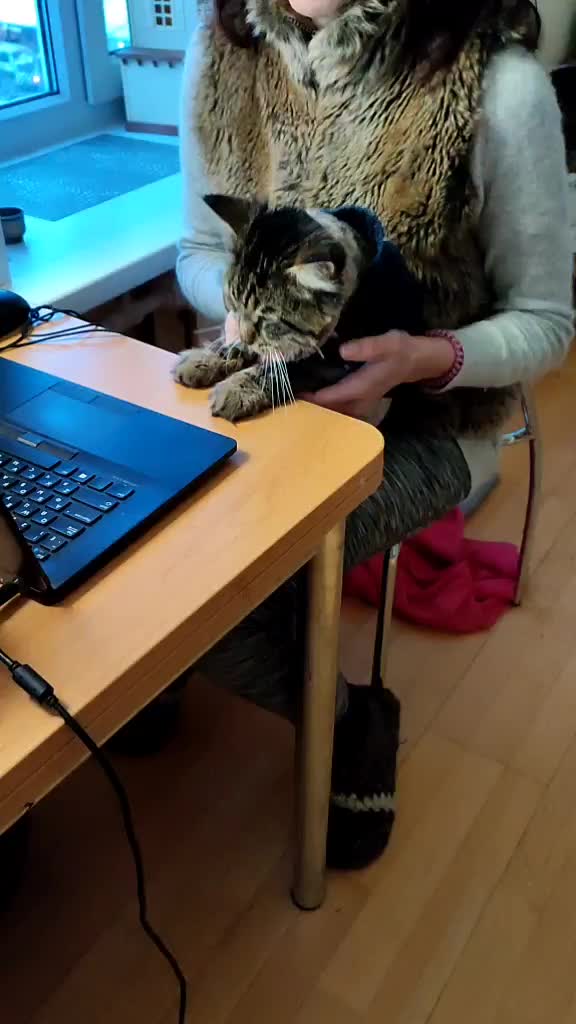 @user210029 фëдор
