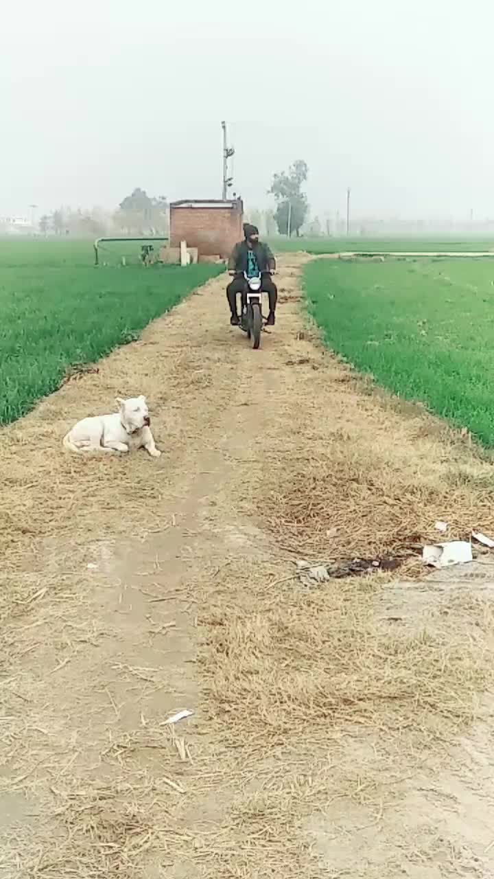 @user2095160896415