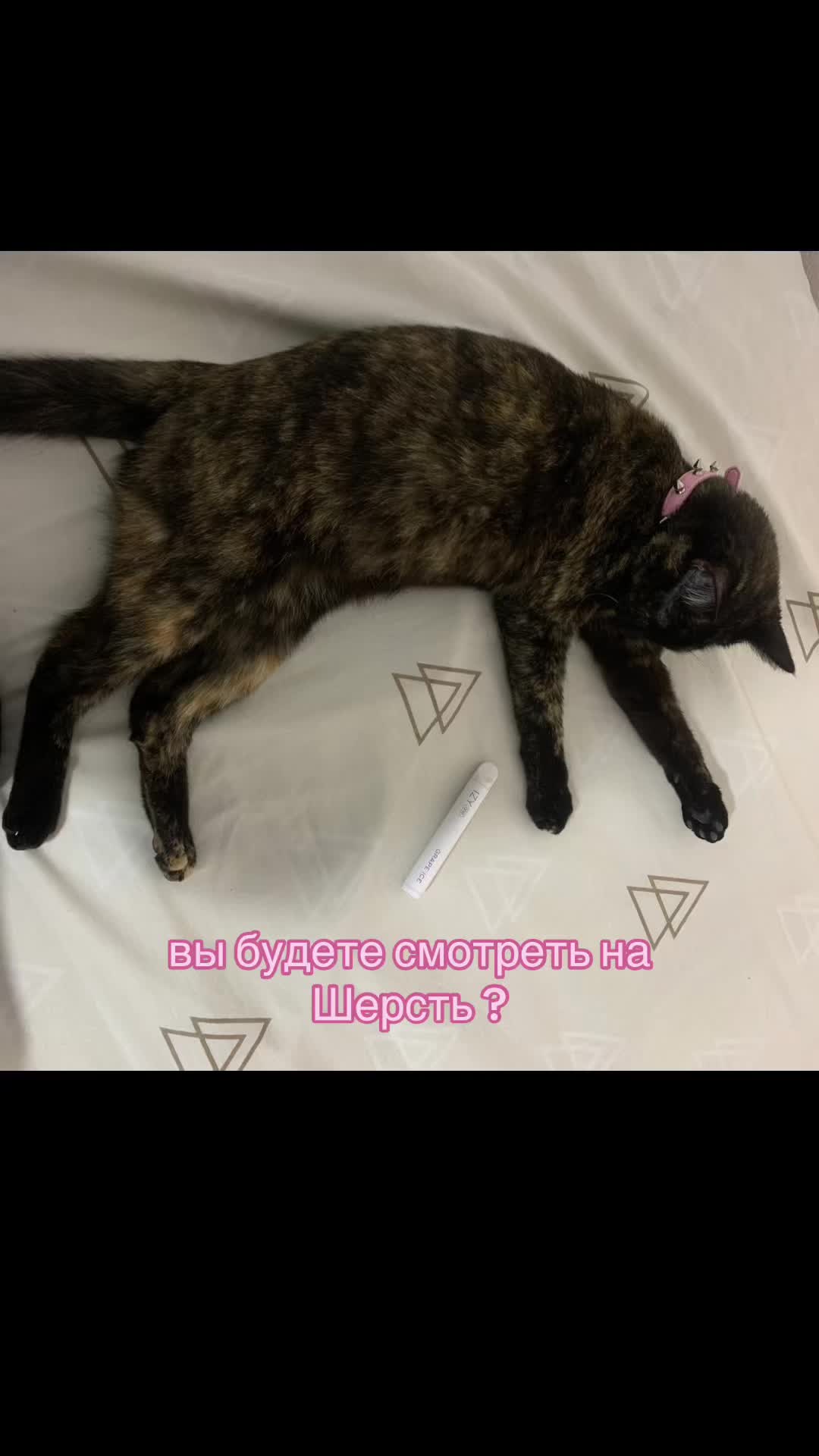 @sacremin0u