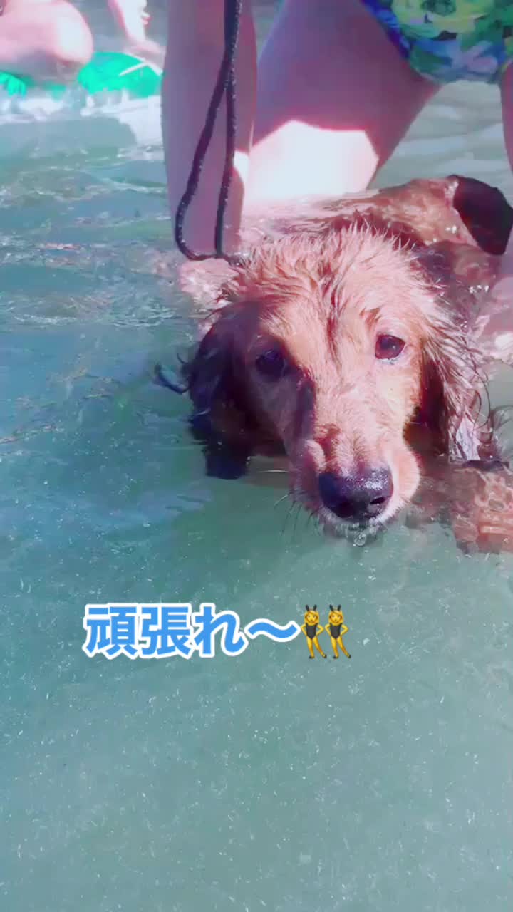 @平尾もとな