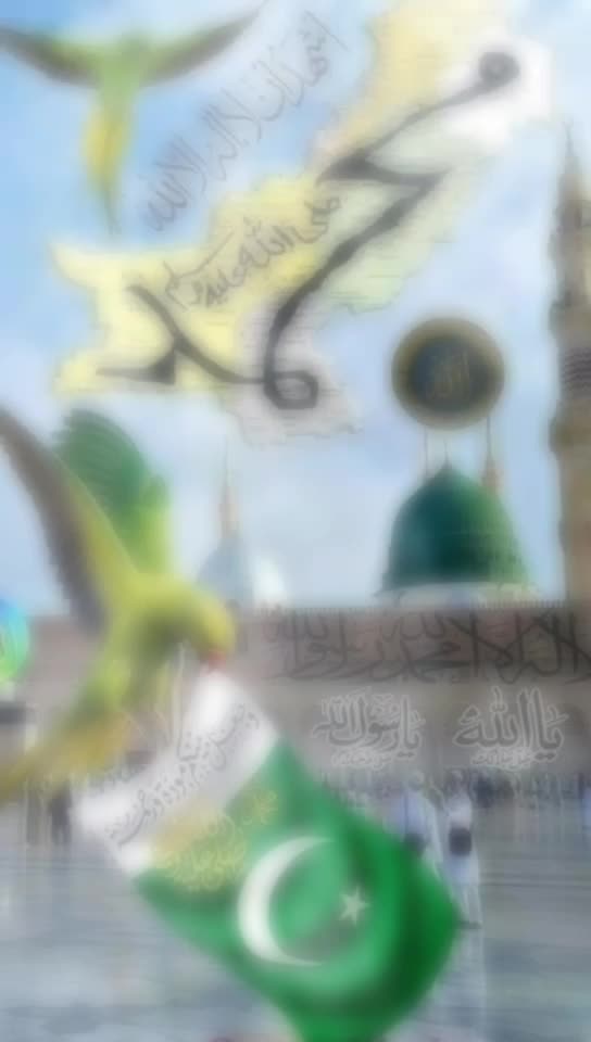 @Tik Toker๐ต๐ฐ๐ต๐ฐ๐ต๐ฐ๐ต๐ฐimran