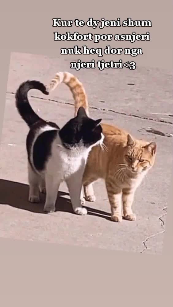 @Beba ote🥺💉