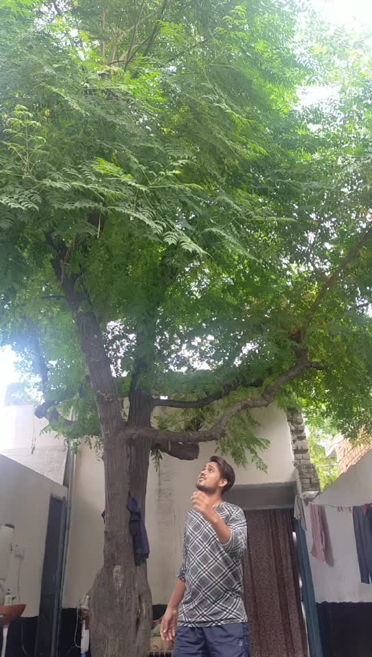 @Shadab Saifi