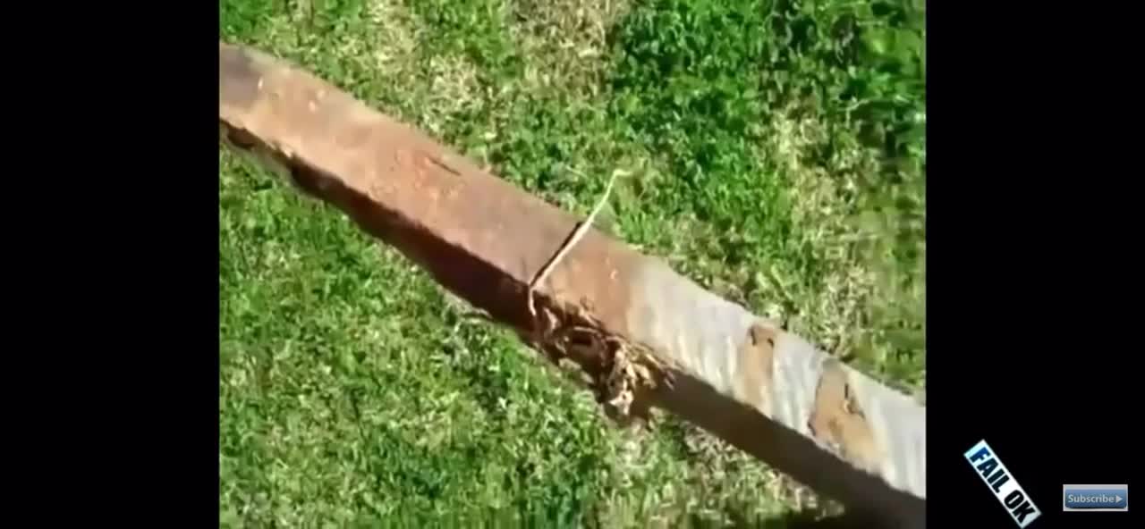 @user3744447213366