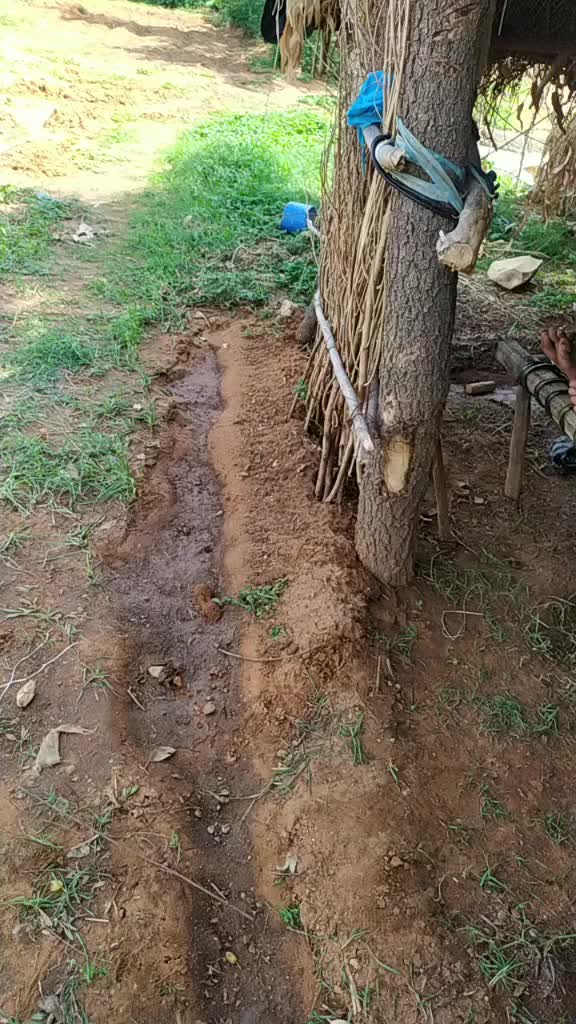 @ch.rajagopal
