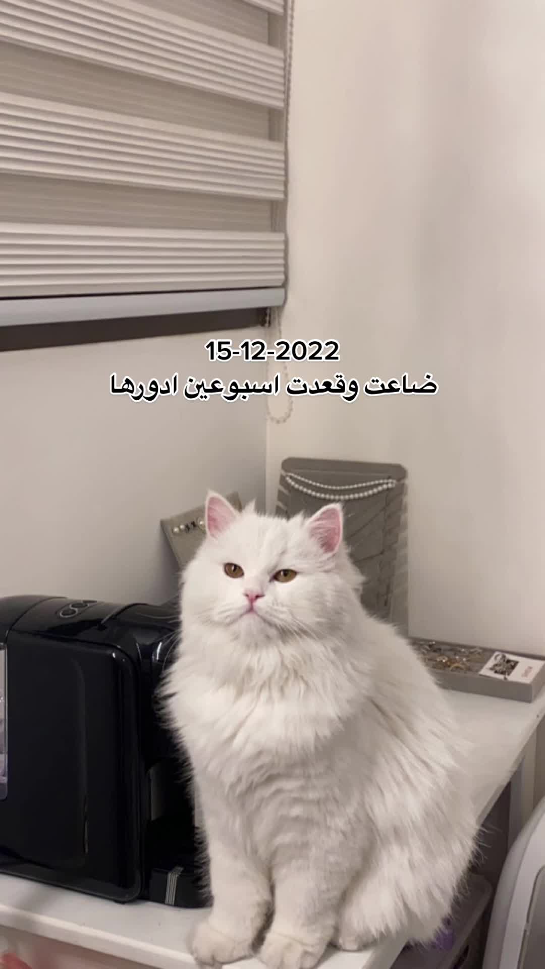 @MILA🤍LUNA