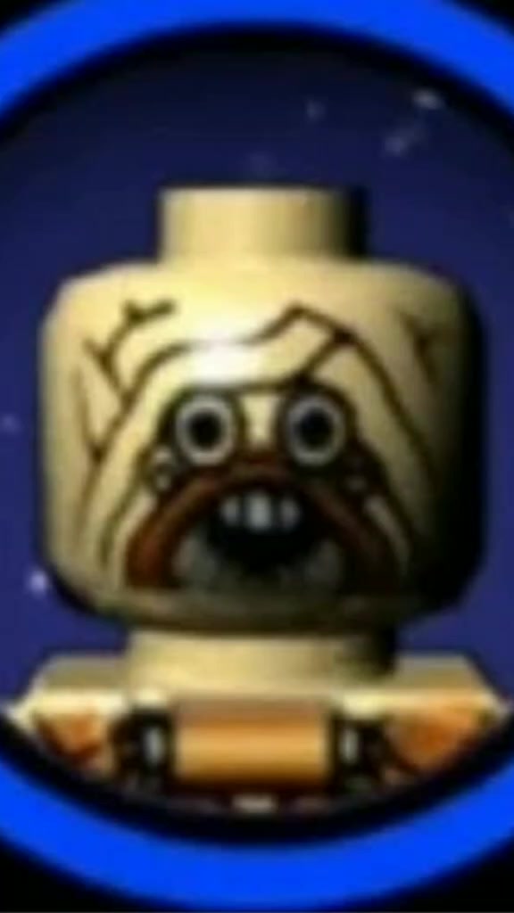 @Goodbye TikTok