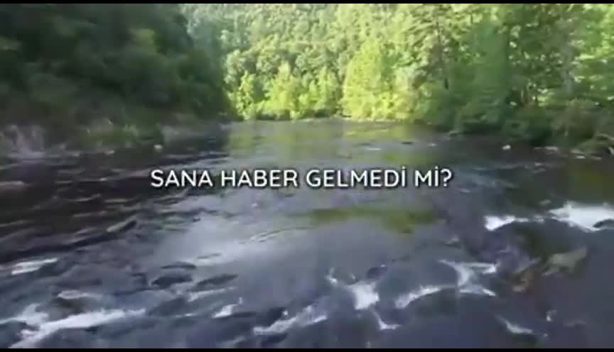 @Sinan Ardıç