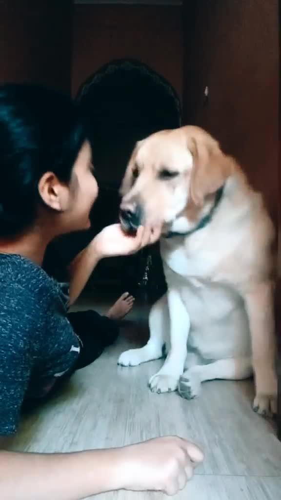 @Nidhi Bhatt