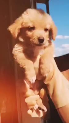 @Rishi Naidu