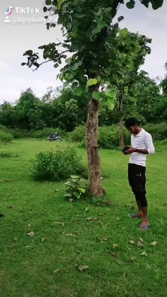 @bijoykuiry