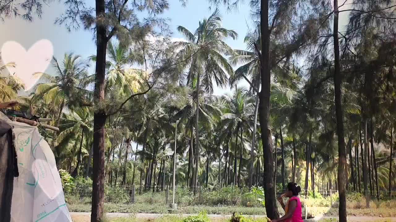@Suraiya Vloger