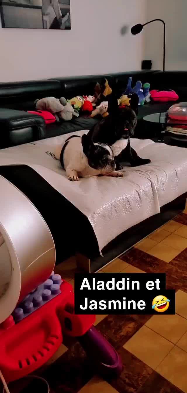 @Amande