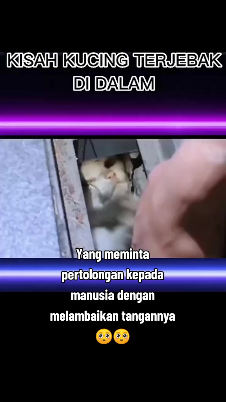 @Alzureðð¹ðŒðS&Zðâïž