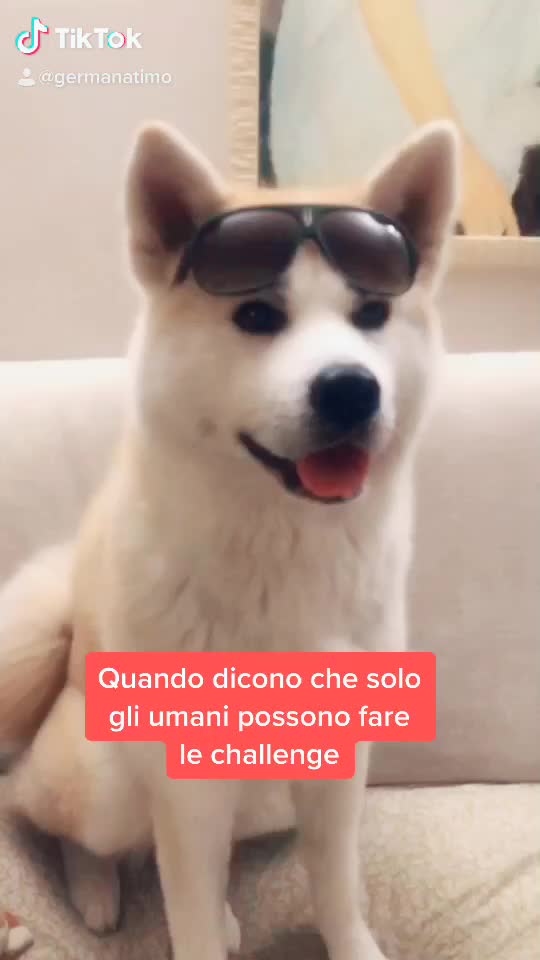 @Germana Timo