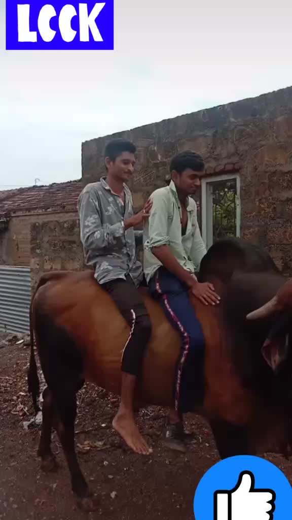 @bhavy kyada