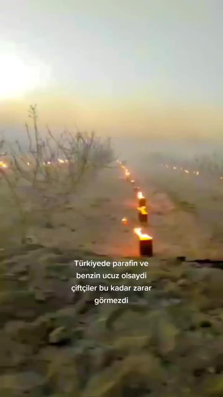 @BaranGokmen07